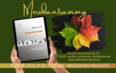 MERIDIANTRAINING – WORSHOP